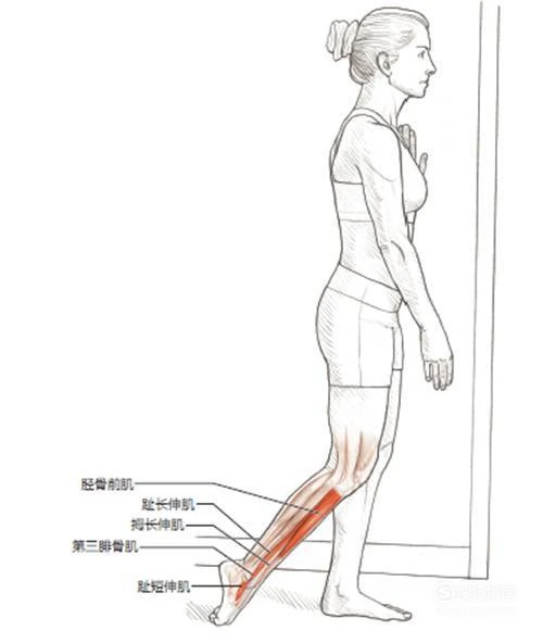 业余篮球队比赛前训练计划怎么写_1